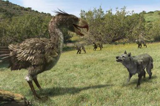 十大远古最恐怖的动物有哪些?揭秘十大远古最恐怖的动物